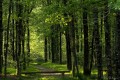 soiree de printemps
